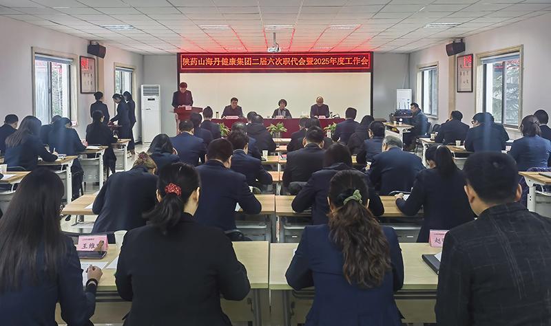 陜藥山海丹健康產(chǎn)業(yè)集團(tuán)召開(kāi)二屆六次職代會(huì)暨2025年工作會(huì)